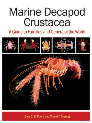 cover image of Marine Decapod Crustacea